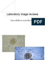 Laboratory Image Reviews