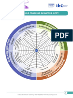 Roda dos 7 Níveis do Processo Evolutivo (RPP©️)