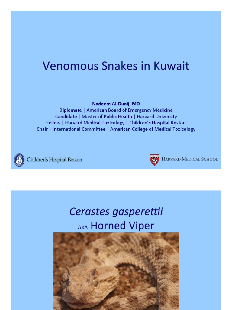Venomous Snakes of Kuwait Explained | PDF | Reptile | Venomous Snakes