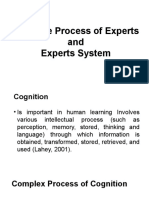 Cognitive Process of Experts and Experts System