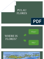 Pulau Flores