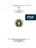 Paper DPT Sub Penyakit Eka Allisa Shalsabilla PDF