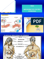 Diapositiva 1