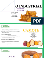 CAMOTE CHIPS Proceso Industrial