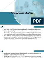 Tutor Patogenesis Mastitis