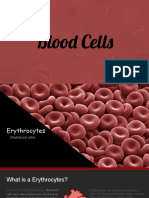 Blood Cells PDF