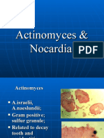Actinomyces and Nocardia