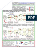 tch4 PDF