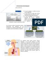 PACIENTE INTROXICADO PARAQUAT