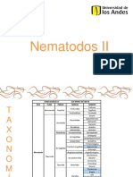 Nematodos II