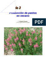 produccion de pastos.pdf