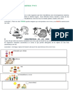 CS. NAT -Cont. Pedag. (Primer Trim)  Tp 3  LOS SV. CARACTERISTICAS Y NIVELES DE ORG.