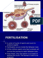 FERTILISATION