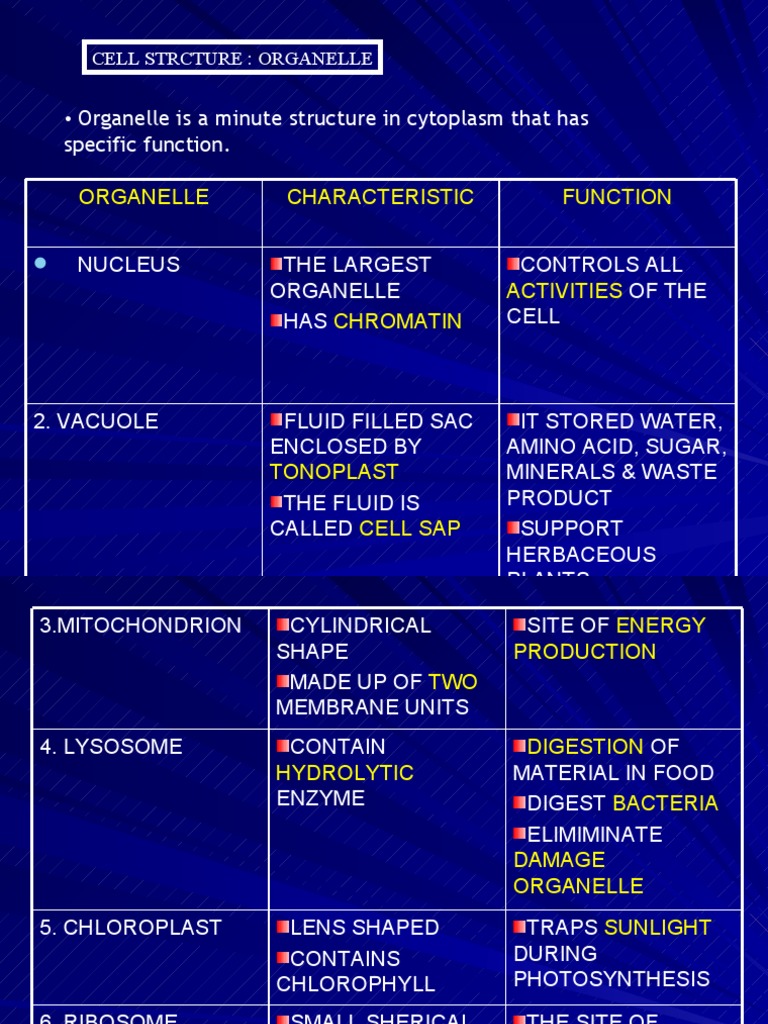 CELL (ORGANELLE AND NON-ORGANELLE) | Vesicle (Biology And Chemistry