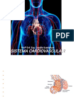 SISTEMA CARDIOVASCULAR.pdf