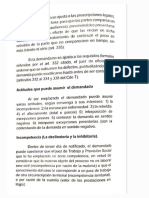 Actitudes Que Puede Asumir El Demandado