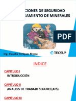 5.seguridad Aplicada A El Procesamiento de Minerales PDF