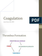 HemeSlides PDF