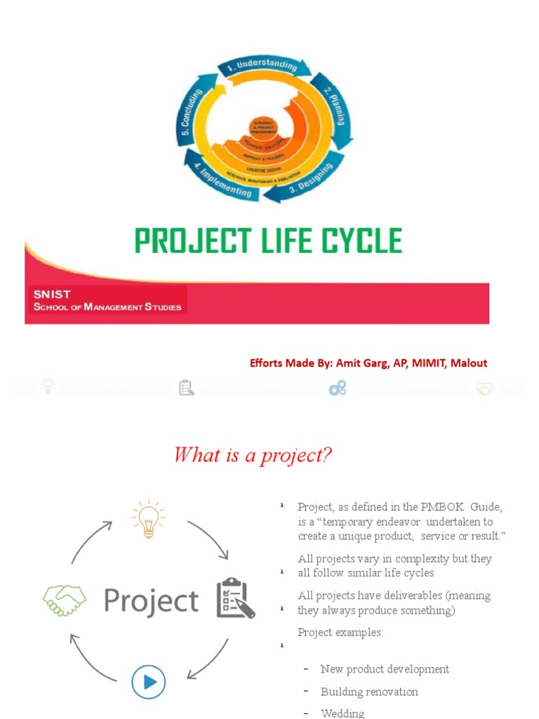 Project Life Cycle | PDF | Product Lifecycle | Project Management