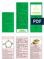 triptico del ecoeficiencia richi.docx