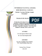 Tesis Final Pollo 26-03-2019.docx