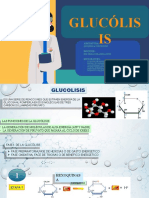 Bioquimica - Seminario Glucolisis