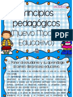 Principios Pedagogicos Nuevo Modelo PDF