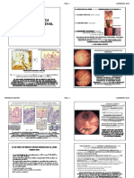 FARMACO Gastro Alumno 2018