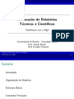 Relatorio Tecnico Cientifico.pdf