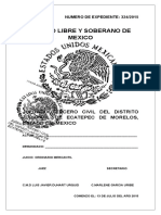 Expediente Juicio Ordinario Mercantil PDF