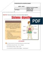 Ciencias - Sistema Digestivo PDF