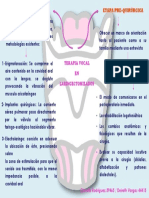 Mapa laringectomizados 2.pdf