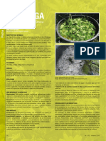 Revista_AE_Nº2_ficha_planta.pdf