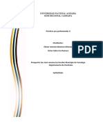 Informe de Practicas Pre Profecionales II Granja San Jose