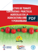 Cultivo de Tomate Con Buenas Practicas Agrícolas