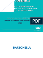 Sesion 3.1 Bartonella