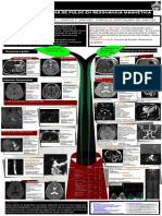 Secuencias de Pulso en RM PDF