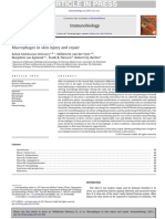 INFLAMAÇÃO - Macrophages in skin injury and repair.pdf
