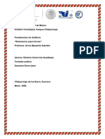 Resumenes Fundamentos de Auditoria PDF