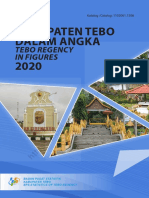 Kabupaten Tebo Dalam Angka 2020