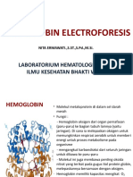 HB Electroforesis