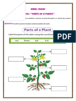 Parts of a plant in English