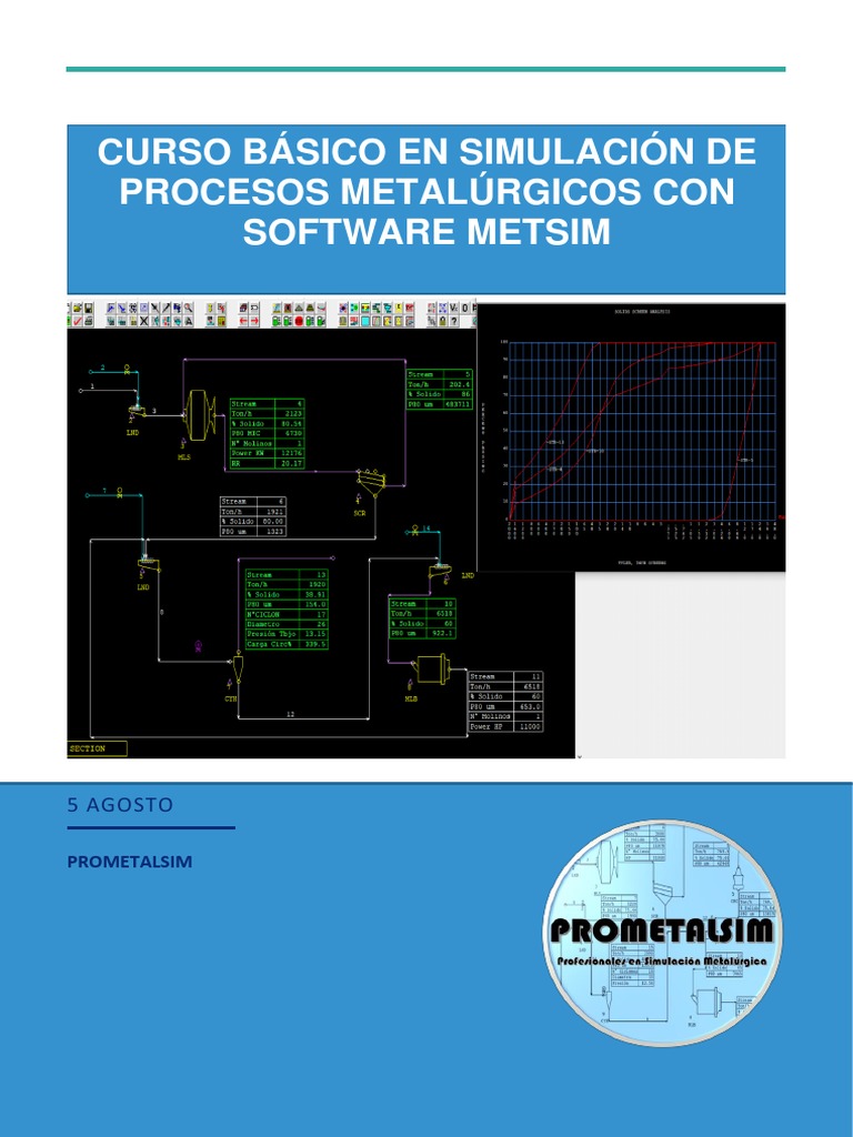 CURSO BÁSICO METSIM 2020 - v3 PDF | PDF
