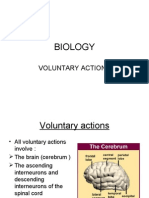 Voluntary Actions