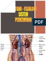 Sistem Perkemihan