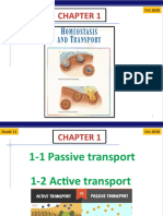 Grade 11 Biology Chapter 1 Passive Transport