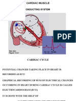 Understanding the ECG