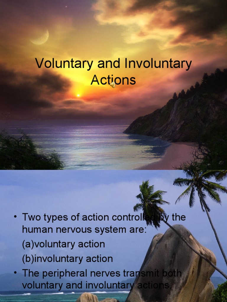 VOLUNTARY AND INVOLUNTARY ACTION Stimulus (Physiology) Nervous System