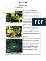 Tugas Botani Morfologi Daun PDF