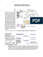 LECTURE_NOTES_on_DNA_REPLICATION_and_PRO.pdf